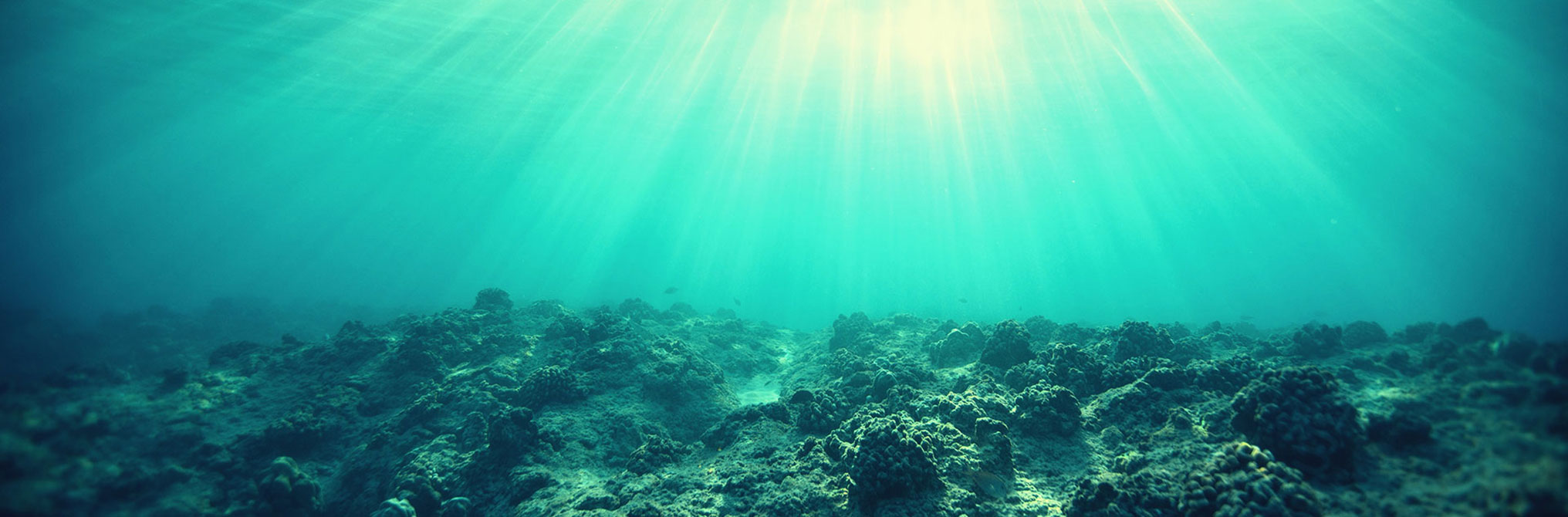 parallax background